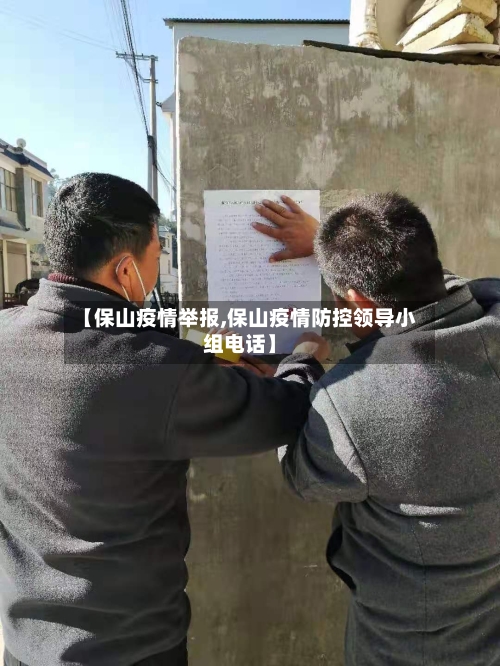 【保山疫情举报,保山疫情防控领导小组电话】-第3张图片