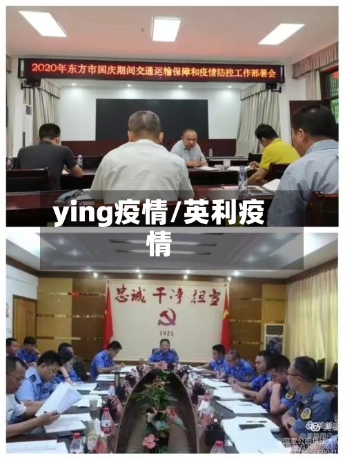 ying疫情/英利疫情-第2张图片