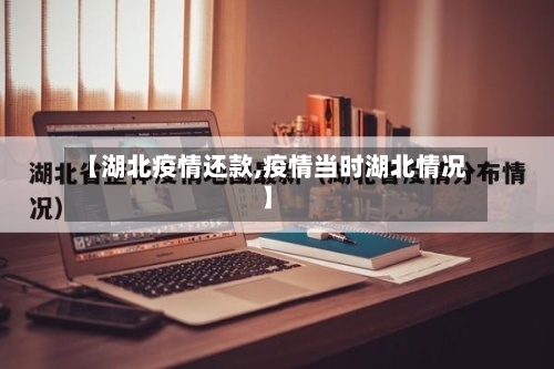 【湖北疫情还款,疫情当时湖北情况】-第2张图片