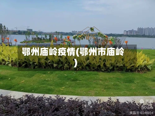 鄂州庙岭疫情(鄂州市庙岭)-第1张图片