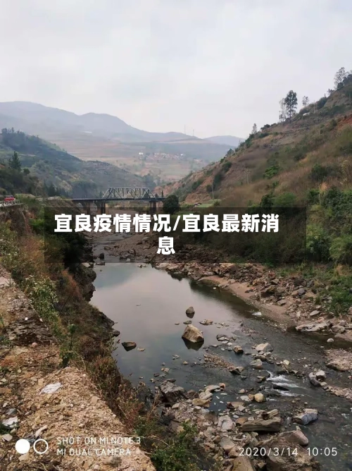 宜良疫情情况/宜良最新消息-第2张图片