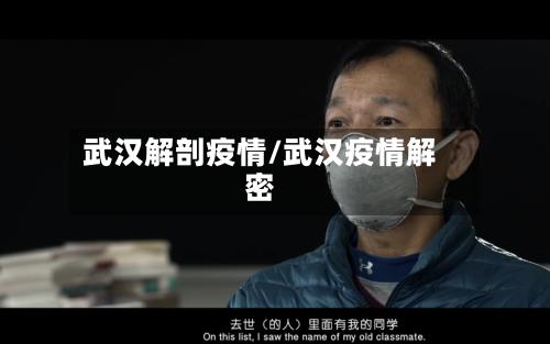 武汉解剖疫情/武汉疫情解密-第1张图片