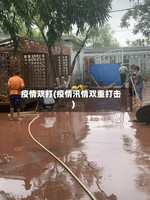 疫情双打(疫情汛情双重打击)-第2张图片