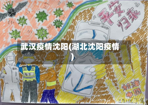 武汉疫情沈阳(湖北沈阳疫情)-第1张图片