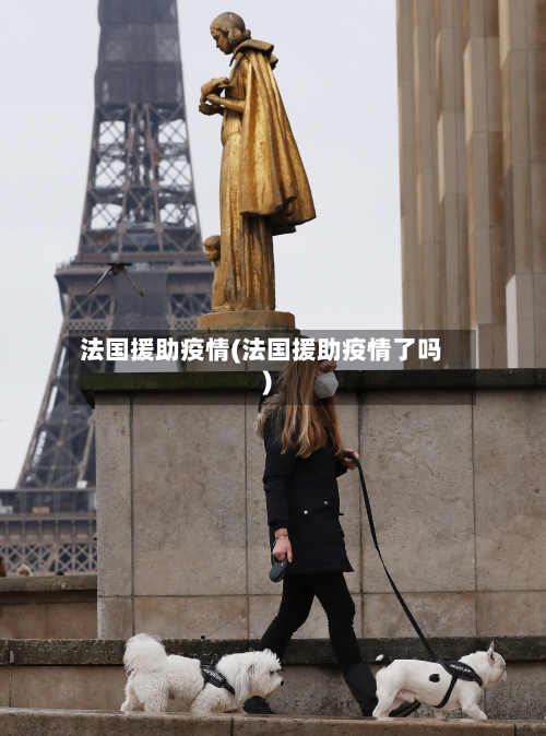法国援助疫情(法国援助疫情了吗)-第3张图片