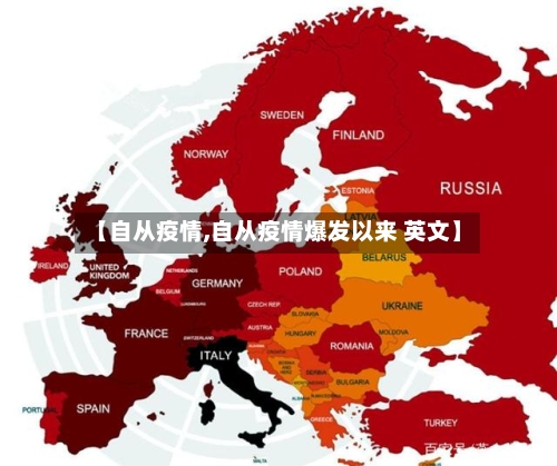 【自从疫情,自从疫情爆发以来 英文】-第2张图片