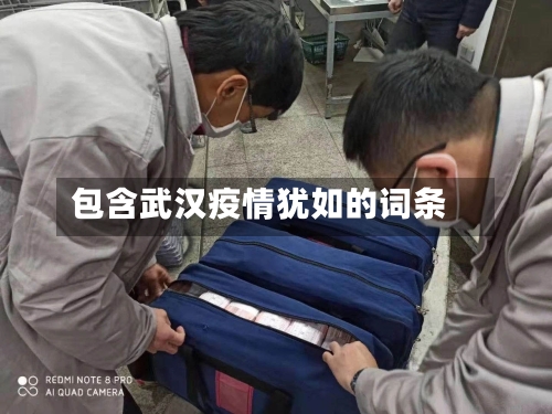 包含武汉疫情犹如的词条-第2张图片
