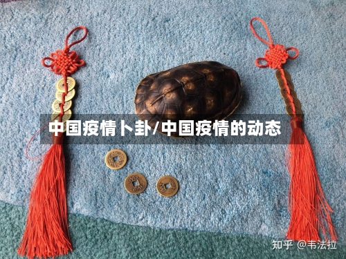 中国疫情卜卦/中国疫情的动态-第1张图片