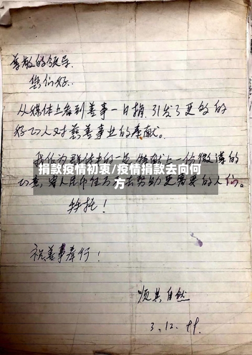 捐款疫情初衷/疫情捐款去向何方-第3张图片