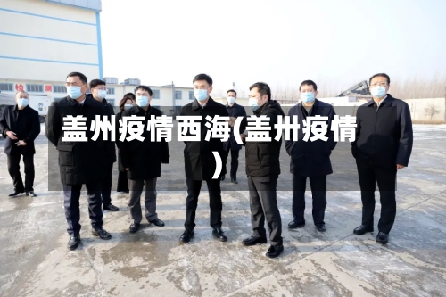 盖州疫情西海(盖卅疫情)-第2张图片