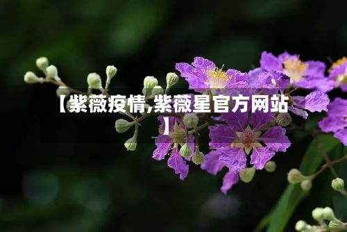 【紫薇疫情,紫薇星官方网站】-第2张图片