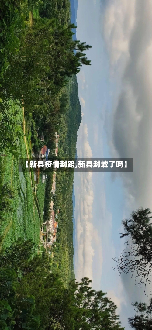 【新县疫情封路,新县封城了吗】-第2张图片