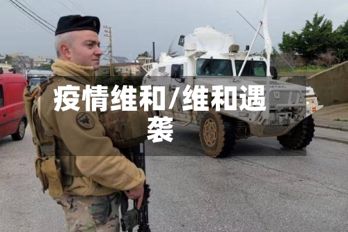 疫情维和/维和遇袭-第2张图片