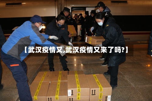 【武汉疫情又,武汉疫情又来了吗?】-第3张图片