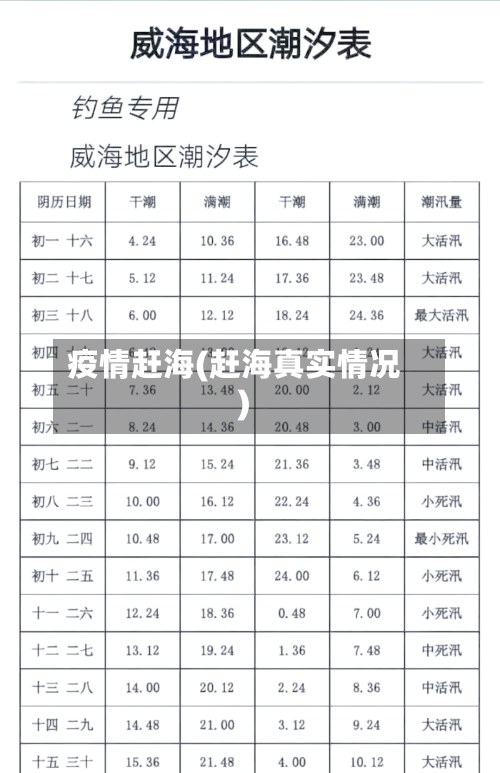 疫情赶海(赶海真实情况)-第1张图片