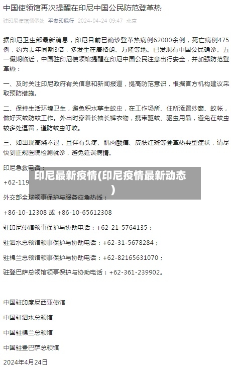 印尼最新疫情(印尼疫情最新动态)-第2张图片