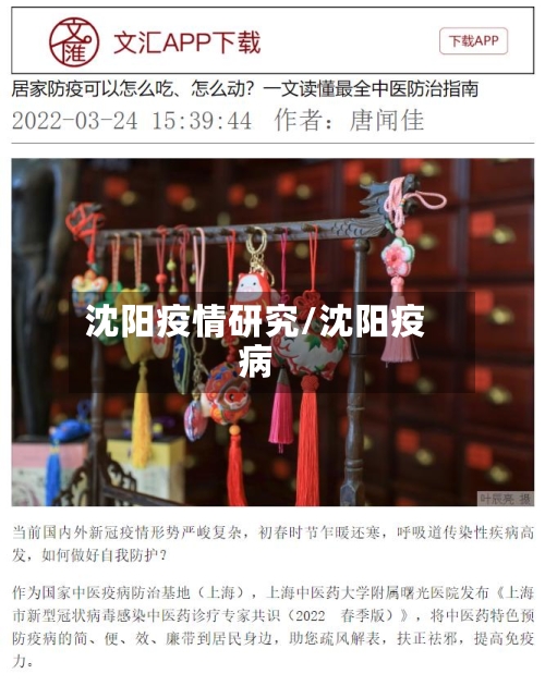 沈阳疫情研究/沈阳疫病-第1张图片