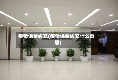 疫情保费缓交(疫情保费缓交什么意思)-第1张图片