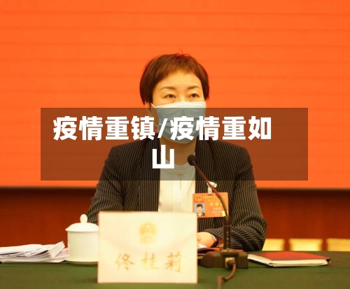 疫情重镇/疫情重如山-第3张图片