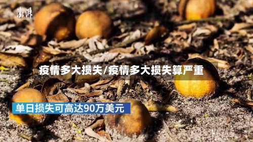 疫情多大损失/疫情多大损失算严重-第1张图片