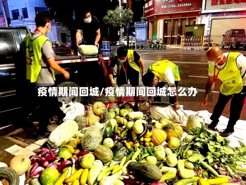 疫情期间回城/疫情期间回城怎么办-第1张图片