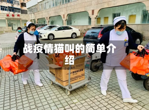战疫情猫叫的简单介绍-第2张图片