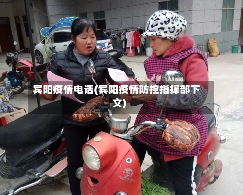 宾阳疫情电话(宾阳疫情防控指挥部下文)-第1张图片