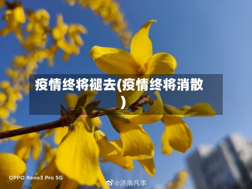 疫情终将褪去(疫情终将消散)-第3张图片