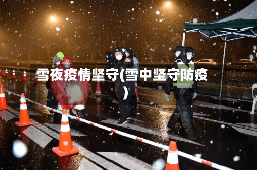 雪夜疫情坚守(雪中坚守防疫)-第1张图片