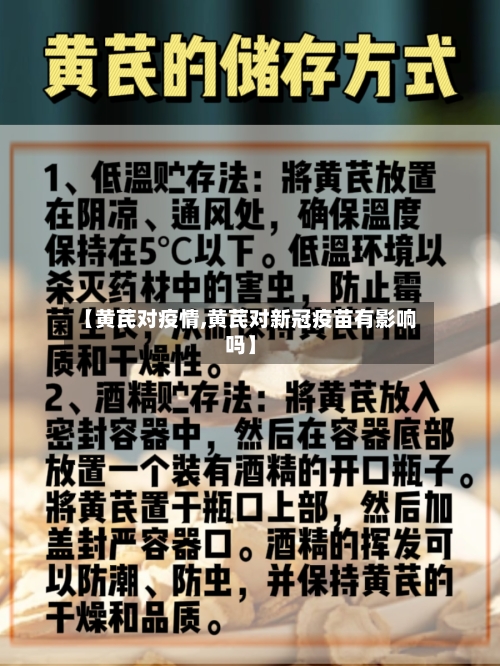 【黄芪对疫情,黄芪对新冠疫苗有影响吗】-第1张图片