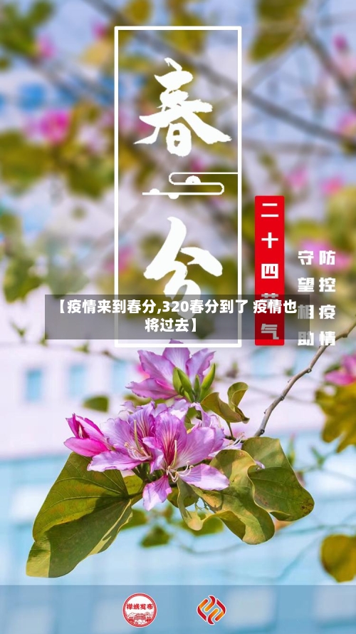 【疫情来到春分,320春分到了 疫情也将过去】-第3张图片