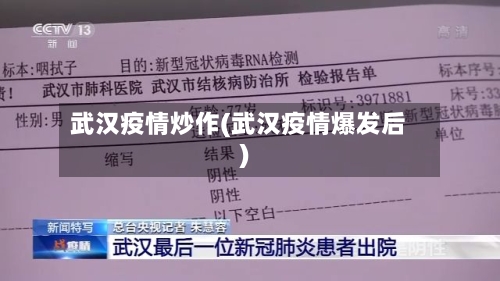 武汉疫情炒作(武汉疫情爆发后)-第3张图片