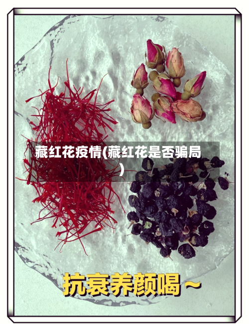 藏红花疫情(藏红花是否骗局)-第2张图片