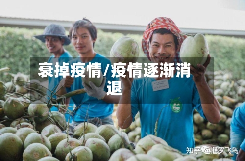 衰掉疫情/疫情逐渐消退-第1张图片