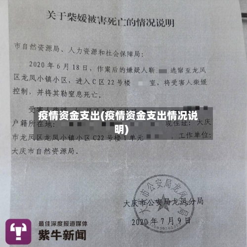 疫情资金支出(疫情资金支出情况说明)-第3张图片