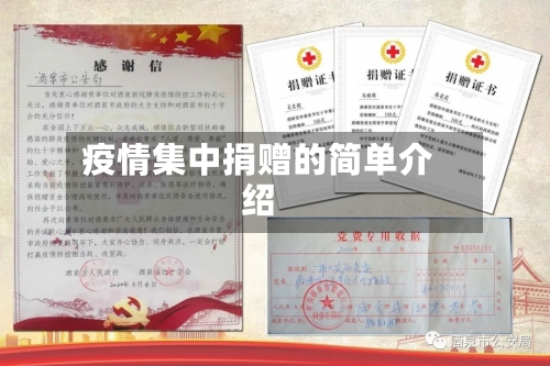 疫情集中捐赠的简单介绍-第1张图片