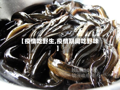 【疫情吃野生,疫情期间吃野味】-第1张图片