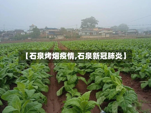 【石泉烤烟疫情,石泉新冠肺炎】-第2张图片