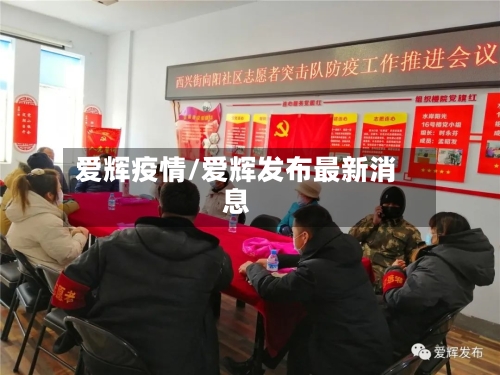 爱辉疫情/爱辉发布最新消息-第3张图片