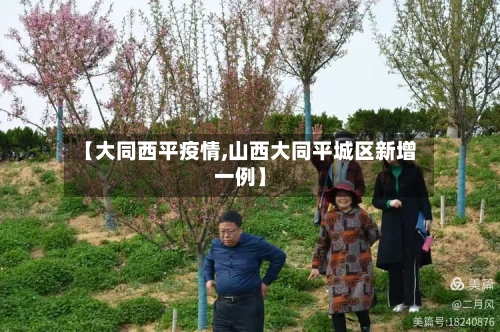 【大同西平疫情,山西大同平城区新增一例】-第3张图片
