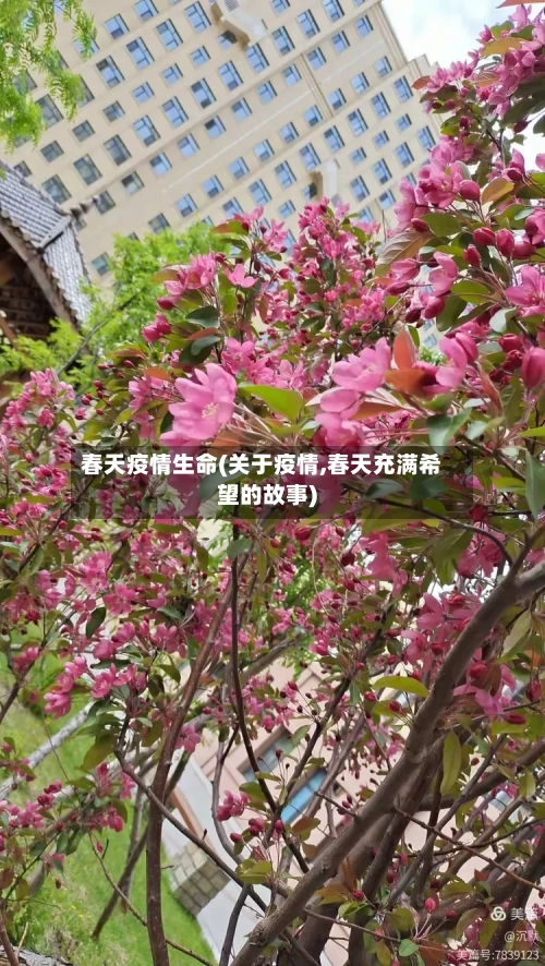 春天疫情生命(关于疫情,春天充满希望的故事)-第2张图片