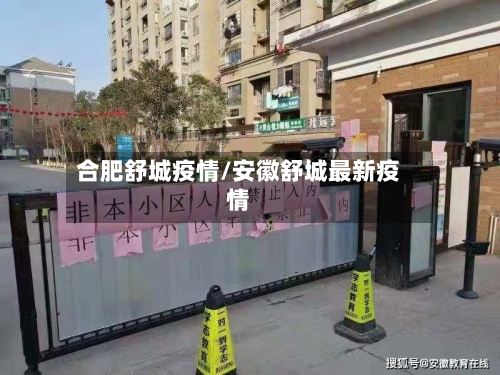 合肥舒城疫情/安徽舒城最新疫情-第1张图片