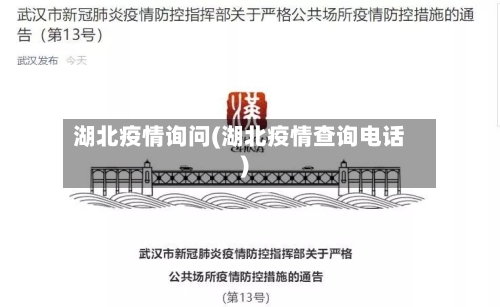 湖北疫情询问(湖北疫情查询电话)-第1张图片
