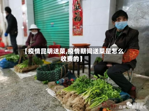 【疫情昆明送菜,疫情期间送菜是怎么收费的】-第1张图片