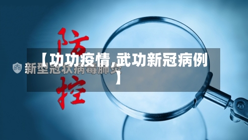 【功功疫情,武功新冠病例】-第1张图片