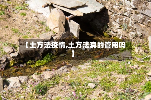 【土方法疫情,土方法真的管用吗】-第1张图片