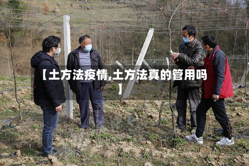 【土方法疫情,土方法真的管用吗】-第2张图片