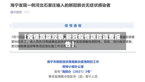 【疫情跟踪观察,新冠疫情跟踪调查报告】-第3张图片