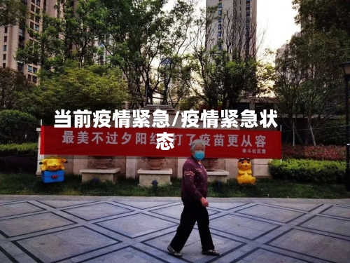 当前疫情紧急/疫情紧急状态-第2张图片