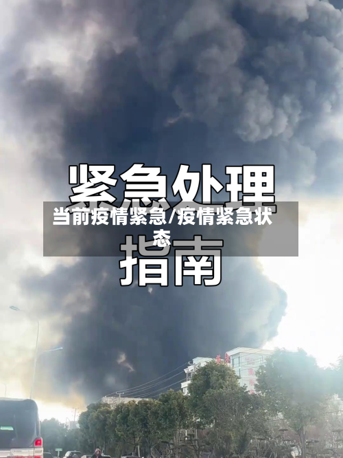 当前疫情紧急/疫情紧急状态-第3张图片